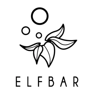 Picture of ELFBAR E-cigi Tearm